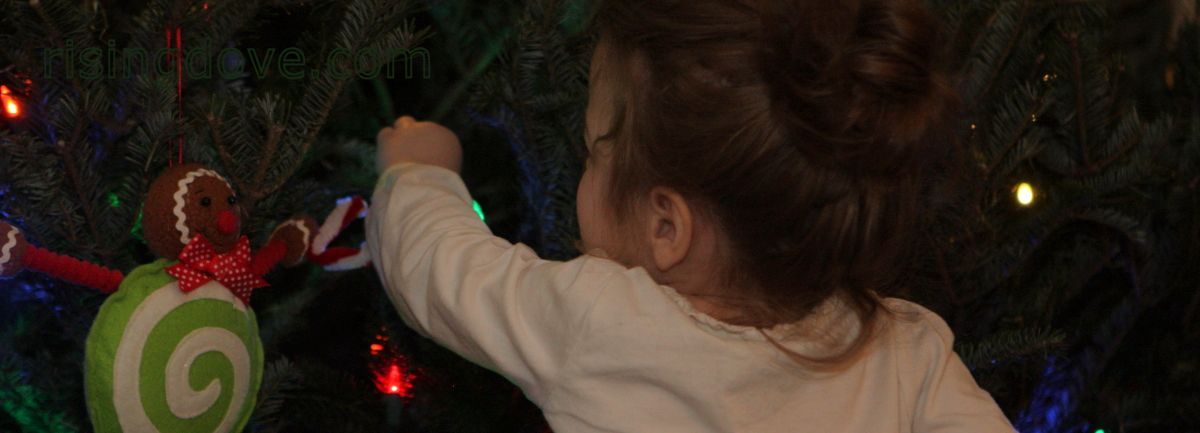 A little girl reaches out to investigate a light on the Christmas tree. She's wearing
			 a white ruffled blouse, and her light brown hair is twisted into a bun. To her left is a large 
			stuffed gingerbread man with a green and white spiral on his perfectly round torso.
